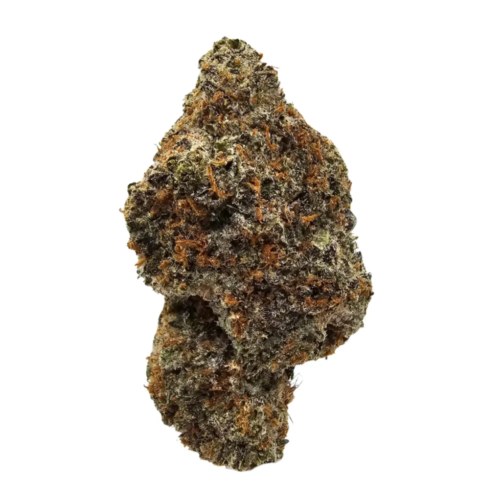 Blueberry Sherbet