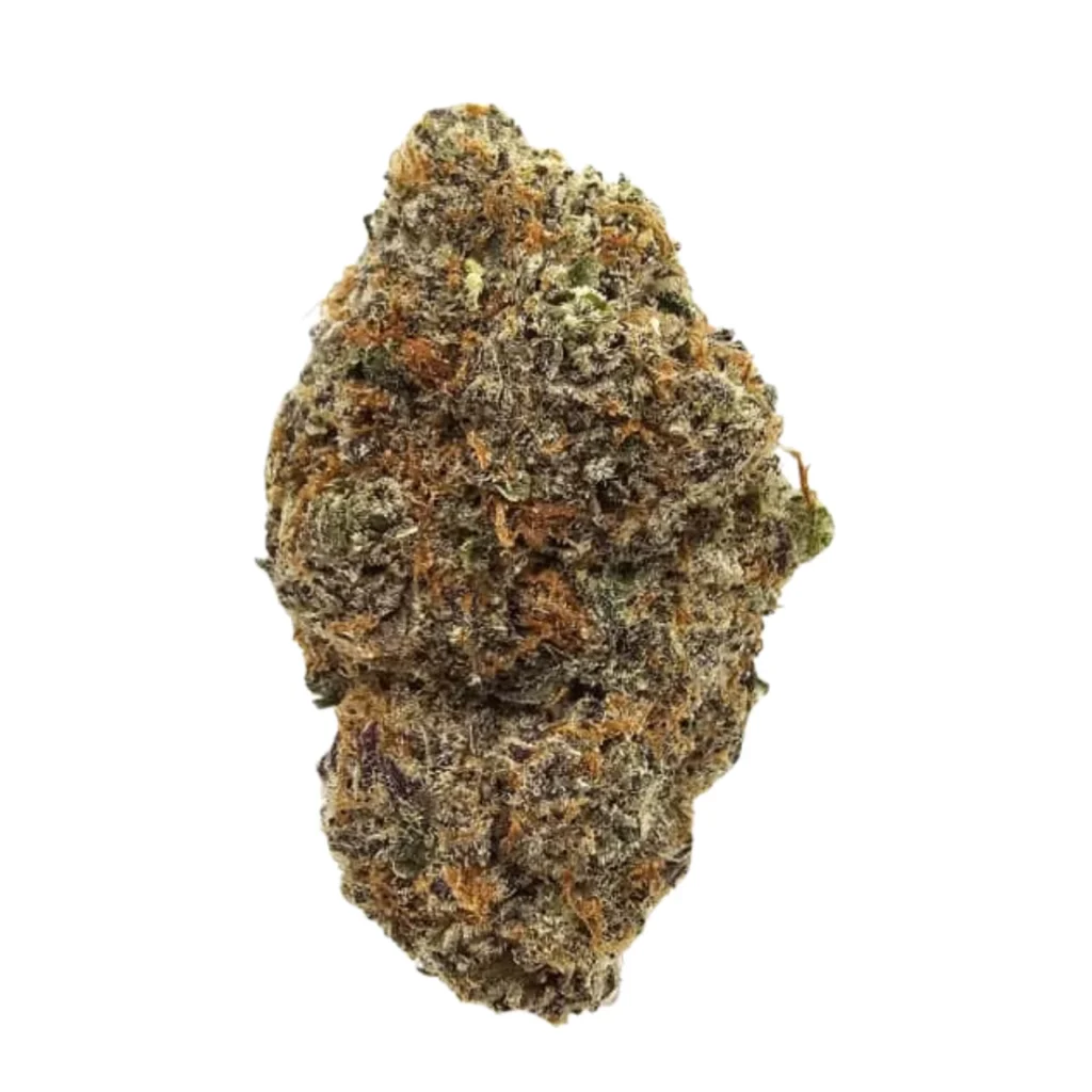 Bubba Zombie