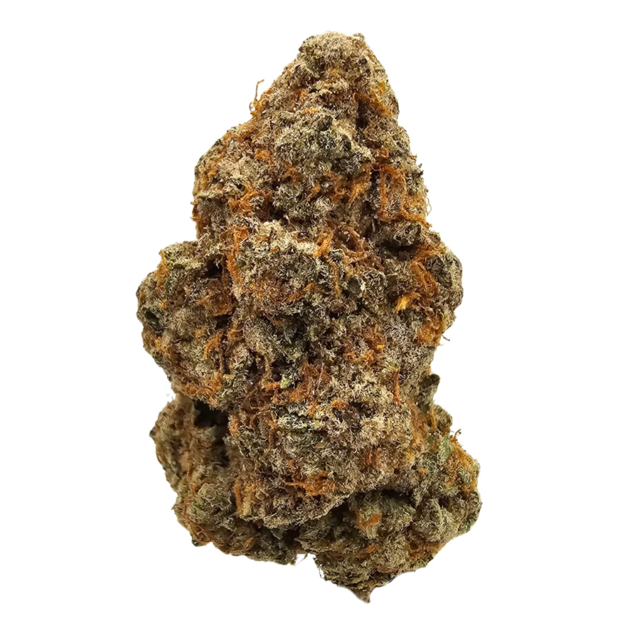 Animal Gas - Image 2